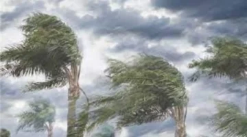 تحذير لـ 4 محافظات.. الأرصاد توضح أسباب التقلبات الحادة في حالة الطقس ونوعها